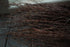 50 pcs Birch Branches for Vases, Decoration for Sale. Natural Birch Twigs for centerpieces. Floral Stick....