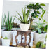 Potted Plant Shelf 2pcs Base Supplies Round Wooden Office Flower Pot Holder Shelf...