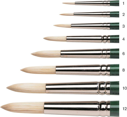 Winsor & Newton 5975712 Winton Hog Round #12 Bristle Brush...