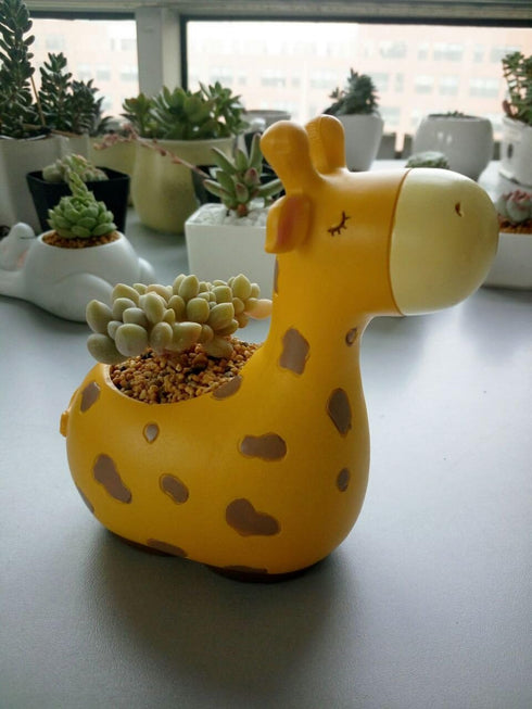 Succulent Pots,Cute Animal Giraffe Shaped Indoor Air Plant Holder Plant Pots-Plants Not in Included (4.92 inch Tall)...