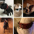 Sharp Spiked Studded Dog Collar - Stylish Leather Dog Collars - 2 Inch in Width Fit for Medium & Large Dogs - Such as Pitbull Mastiff - Black Rive...