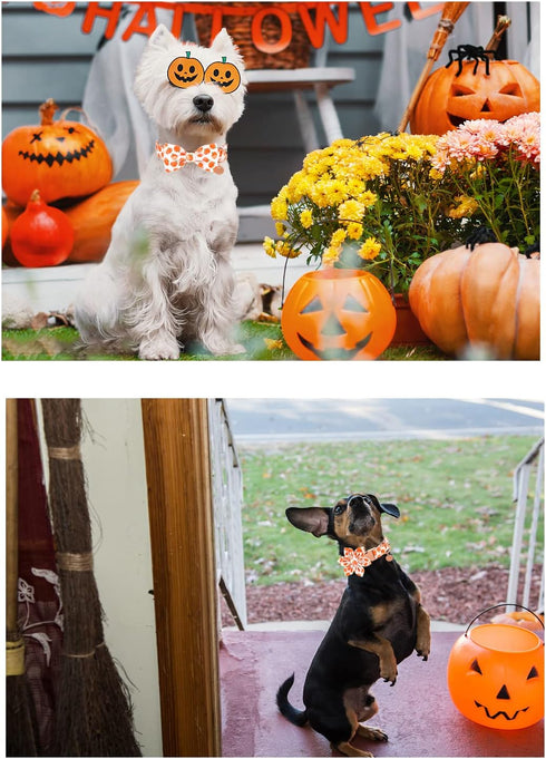 Halloween Dog Collar with Bow Tie, Pumpkin Cotton Bowtie Collar for Puppy Girl Boy Dog or Cat, Fall Dog Collar Bowtie with Metal Buckle, Adorable ...