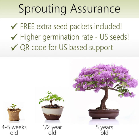Bonsai Starter Kit – 2X Bonsai Tree | Complete Indoor Starter Kit for Growing Bonsai Plants with Tools & Planters – Gardening Gifts for Women & Me...