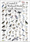 Earth Sky + Water - Coastal & Wetland Birds of the Gulf of Mexico - Posters...