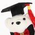 Mini Plush Graduation Bear 10pcs Stuffed Animal with Grad Cap Flower Bear Doll Bouquet Decor Class of 2024 Graduation Present for College High Sch...