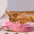 Small Dog Calming Pillows, Anxiety Relief Pillows for Dogs and Cats, U-Shape Pillow for Improving Pet Sleeping, Half-Count Soft Cat Pillow, Machin...