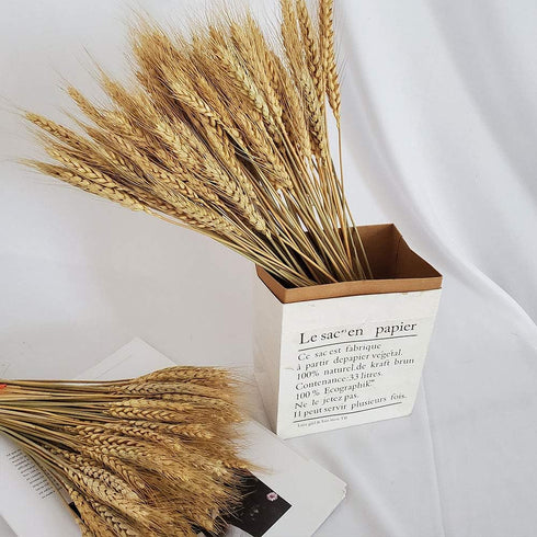 Wheat Stalks, 100Pcs Natural Ear of Wheat Grain Flowers for Home Dining Table Arrangement Flower Art Wedding Decoration...