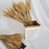 Wheat Stalks, 100Pcs Natural Ear of Wheat Grain Flowers for Home Dining Table Arrangement Flower Art Wedding Decoration...