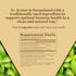 A+ Armor Andrographis Pure 800 Mg – Healthy Immune System Function, Physical Wellness, Potent Strength for Seasonal Protection – Full-Spectrum & S...
