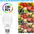 ORALUCE A19 LED Light Bulb, 60 Watt Equivalent, E26 Base LED Bulb 6500K Cool White, 9W Lightbulbs Non Dimmable, 900 Lumens, for Bedroom, Living Ro...