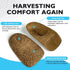 Dr.Foot Heel Cups for Plantar Fasciitis Relief, Heel Cushions for Heel Pain and Heel Spurs for men women (Medium (Women's 5.5-8.5, Men's 5-7.5))...