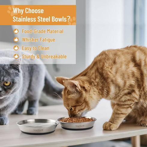 Cat Bowls, 2 Pcs Stainless Steel Cat Bowls for Food and Water, Whisker Fatigue Shallow Non-Slip Cat Dishes Plates for Small Dog Puppies Cats...
