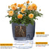 Self Watering Planters for Indoor Plants, 4 Pack 4.1 Inch African Violet Pots, Modern Decorative Flower Pots with Transparent Water Reservoir, Per...