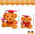 Sumind 6 Pieces Graduation Bears Class of 2024 Graduation Plush Bears Bulk Stuffed Animal Bears with Cap for Kindergarten Primary School College H...