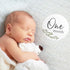 Baby Milestone Signs/Greenery Monthly Milestones/Botanical Infant Photo Prop...