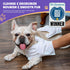 HICC PET Cleaning & Deodorizing Bathing Wipes for Dogs and Cats, Nourish Fur Coconut Oil Grooming Wipes for Dogs, Pet Cleaning Gloves Wipes for Da...