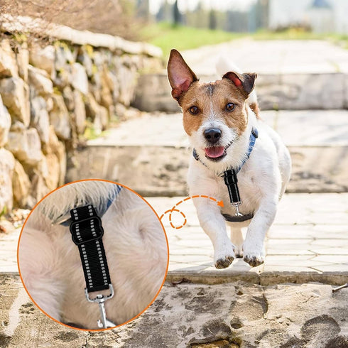 Dog Collar Safety Clip,2 Pack Dog Seatbelt for Car,Adjustable Dog Car Tether,Prong Collar Safety Clip,Reflective Nylon Backup Collar Clips,Pet Sea...