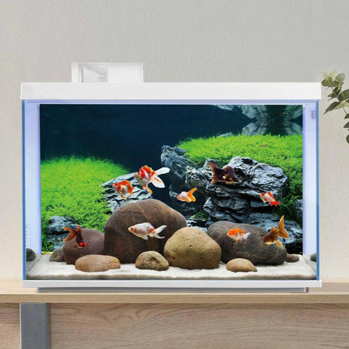 AWERT 36x18 inches Seaweed Aquarium Background Stone Aquarium Background Aquatic Plant River Bed & Lake Fish Tank Background Vinyl Background...