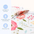 SleepingBaby Zipadee-Zip Transition Swaddle - Cozy Baby Swaddle Blanket with Zipper Convenience - Roomy Wearable Blanket for Easy Diaper Changes -...