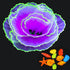 Aquarium Decorations Fish Tank Decor Glowing Coral Ornaments, 1pc Purple Silicone Flower Plants and 10pcs Sea Shells/Stone Glow in The Dark Large ...