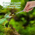 2 Pcs Extra Long Stainless Steel Reptile Feeding Tongs with Rubber Tip Bearded Dragon Aquarium Straight and Curved Long Tweezer Terrarium Feeder T...