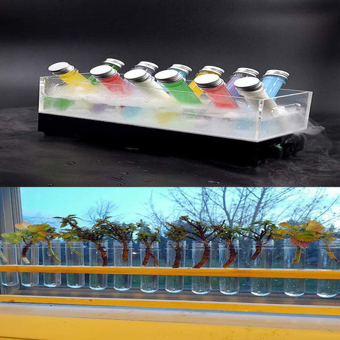 12 Pcs Plastic Test Tubes 45 ml Science Party Test Tubes for Scientific Experiments,Party Decoration,Candy,Bath Salt,Dice Display...