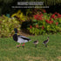 6pcs Garden Decoration Insert Easter Figurines Back Yard Decor Yard Decoration Duck Lawn Sculpture Stake Duck Yard Sign Backyard Decor Animal Inse...