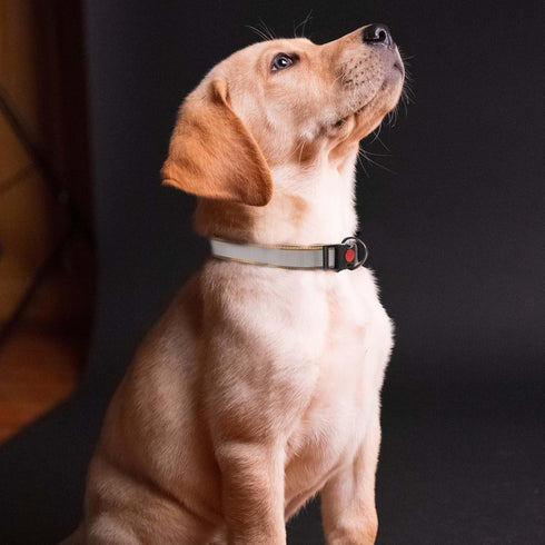 Soft Dog Collar, Reflective Dog Collar with Safety Locking Buckle, Dog Collar, Adjustable Nylon Pet Collars for Small Medium Dogs...