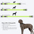 Light Up Dog Collars - Rechargeable LED Dog Collar - Reflective Pet Collar - Adjustable Lighted Dog Collar for Medium Dogs (Green, Medium Collar)...