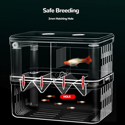 J-star Extra Large Fish Breeder Box, Acrylic Aquarium Breeder Box, Fish Isolation Box for Betta, Guppy, Killifish, Shrimp, Clownfish etc....
