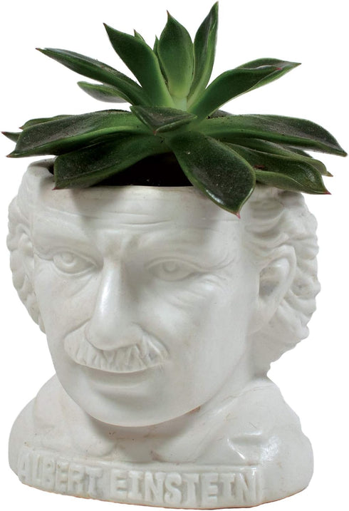 The Unemployed Philosophers Guild Albert Einstein Bust Ceramic Planter...