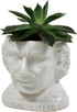 The Unemployed Philosophers Guild Albert Einstein Bust Ceramic Planter...