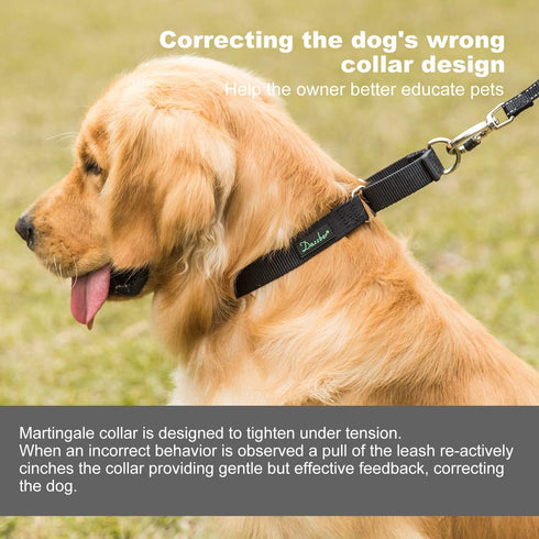 Martingale Collar Nylon Dog Collar - Dazzber No Pull Pet Collar Heavy Duty for Large Dogs, Adjustable 17 Inch to 25 Inch, Classic Black...