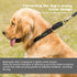 Martingale Collar Nylon Dog Collar - Dazzber No Pull Pet Collar Heavy Duty for Large Dogs, Adjustable 17 Inch to 25 Inch, Classic Black...