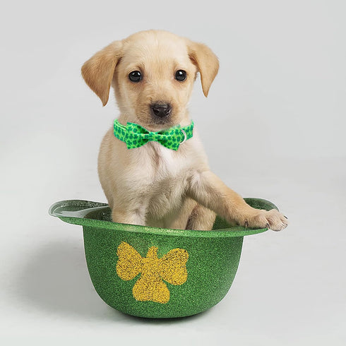 2023 NEW St.Patrick's Day Dog Collar with Bow Tie-Babole Pet, Cute Clover male Dog Collar with Safety Metal Buckle Adjustable Puppy Collars for Sm...