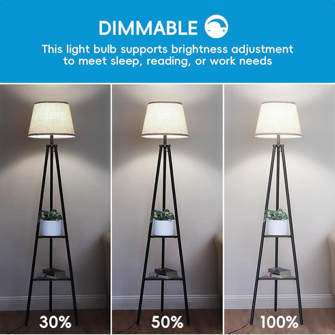 Edison LED Light Bulbs 8Watt Dimmable Light Bulbs 5000K Daylight White, E26 LED Bulb 60watt Equivalent, LED Vintage Bulbs 800lm CRI 90 Clear Glass...