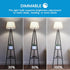 Edison LED Light Bulbs 8Watt Dimmable Light Bulbs 5000K Daylight White, E26 LED Bulb 60watt Equivalent, LED Vintage Bulbs 800lm CRI 90 Clear Glass...
