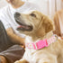 Girl Dog Collars with Daisy Patterns, Cute Pink Dog Collar for Female Dogs, Adjustable Soft Durable Pet Collars for XS Small Medium Large Dogs (L)...