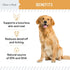 Chew + Heal Labs Omega Salmon Jerky Dog Treats - 5 oz of Soft Salmon Jerky for Skin and Coat - Made with Wild Alaskan Salmon, Flaxseed, Oat Flour,...