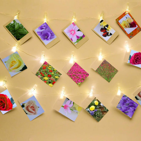 120 Pieces Mini Transparent Plastic Clip Hanging Photo Clips (Clear)...