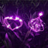 JJGoo Solar Garden Lights Solar Firework Lights, 2 Pack 120 LEDs 2 Lighting Modes Solar Lights Outdoor Waterproof for Garden Patio Walkway Pathway...