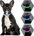 Light Up Dog Collars - Rechargeable LED Dog Collar - Reflective Dog Camping Gear Puppy Collars - Adjustable Dog Glow Collar - Christmas Dog Lights...