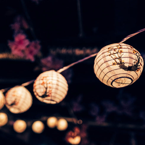 YULETIME Plum Blossom Lantern String Lights, 10 Count Nylon Lantern on 7.6' White Wire, UL Listed 8" Spacing End-to-end Connectable Plug-in String...