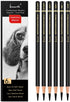 Professional Charcoal Pencils Drawing Set - 6 Pieces Soft Medium and Hard Charcoal Pencils for Drawing, Sketching, Shading...