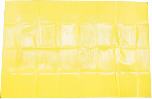 Primacare CB-6821 Emergency Disposable Transport Blanket, Lightweight and Warerproof, Space Blanket for Outdoors, Camping, First Aid, Hiking, Surv...