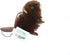 3.5 to 6-Inch Buri Woodland Animal Ornament Set, 4 Assorted Styles...