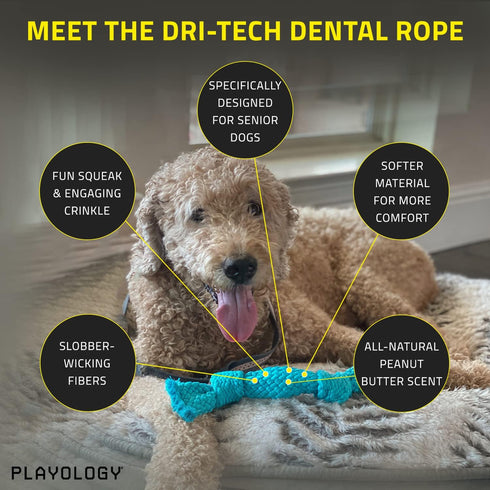 Playology Silver Dri-Tech Dental Rope Dog Toy for Medium Senior Dogs (15-35lbs) - Engaging All-Natural Peanut Butter Scented Dog Chew Toy - Non-To...