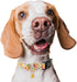 Dog Collar,Personalized Adjustable Cute Puppy Collars for Girl Female Boy Dogs Flower Patterned Design,Soft Pet Collar with Safe Buckle for Small ...