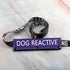 Dog Reactive Leash Sleeve Nervous Dog Leash Wrap Reactive Dog Patch (Dog Reactive)...