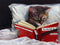 buyartforless Late Night Thriller - Cat Reading to Kill a Mockingbird by Lucia Heffernan 10x8 Feline Art Print Poster Humor...